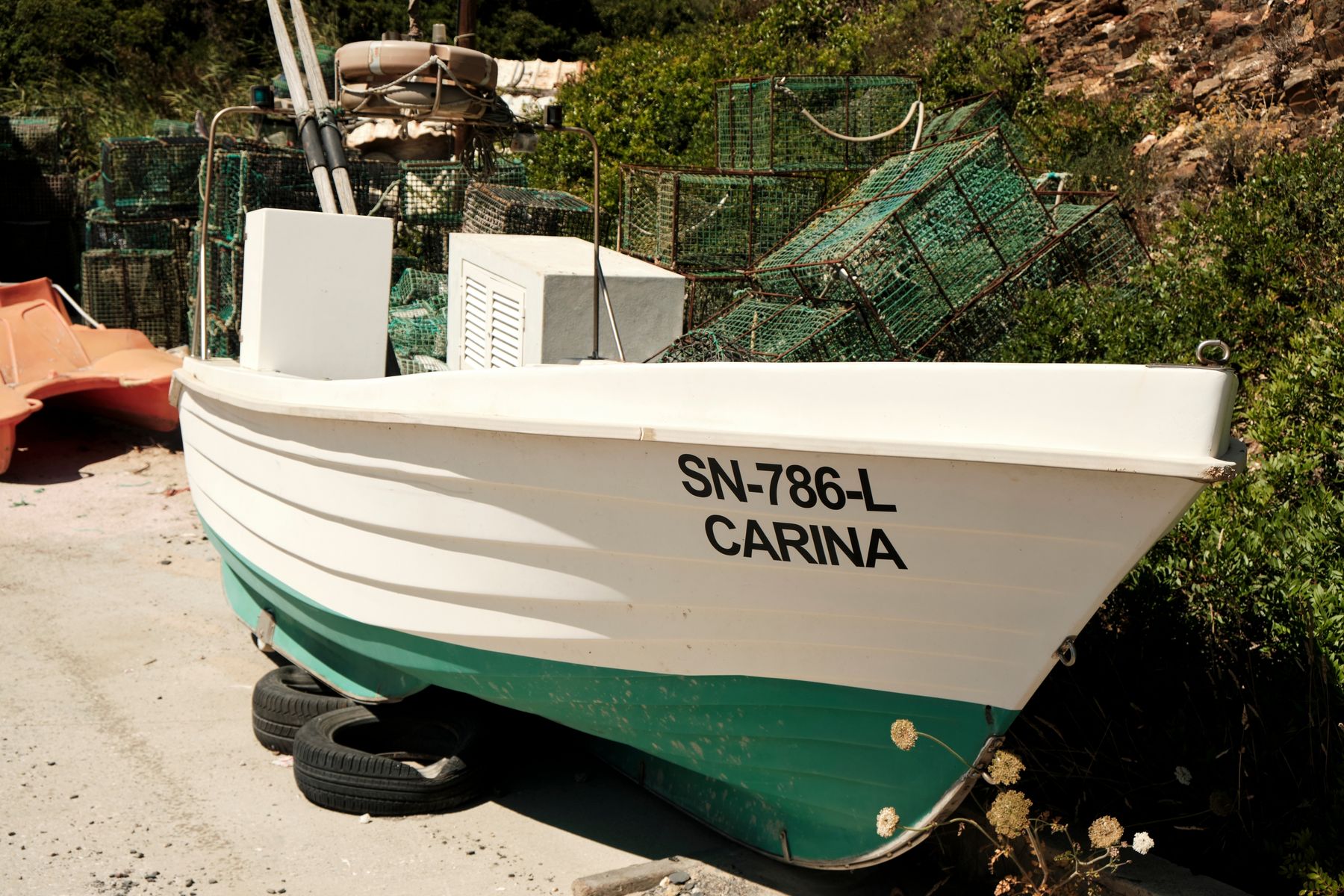 SN786L Carina