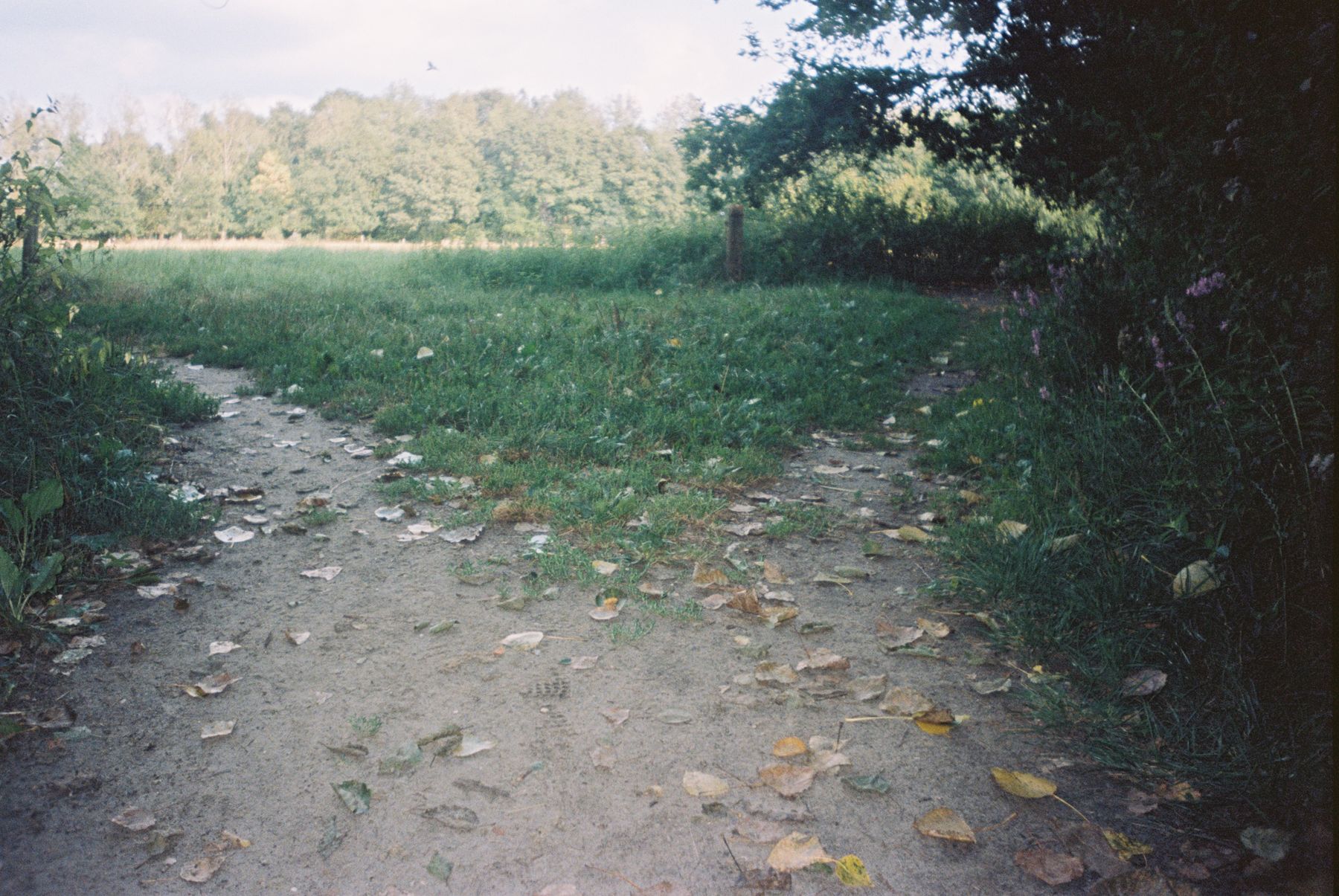 Choosing a path is not always easy