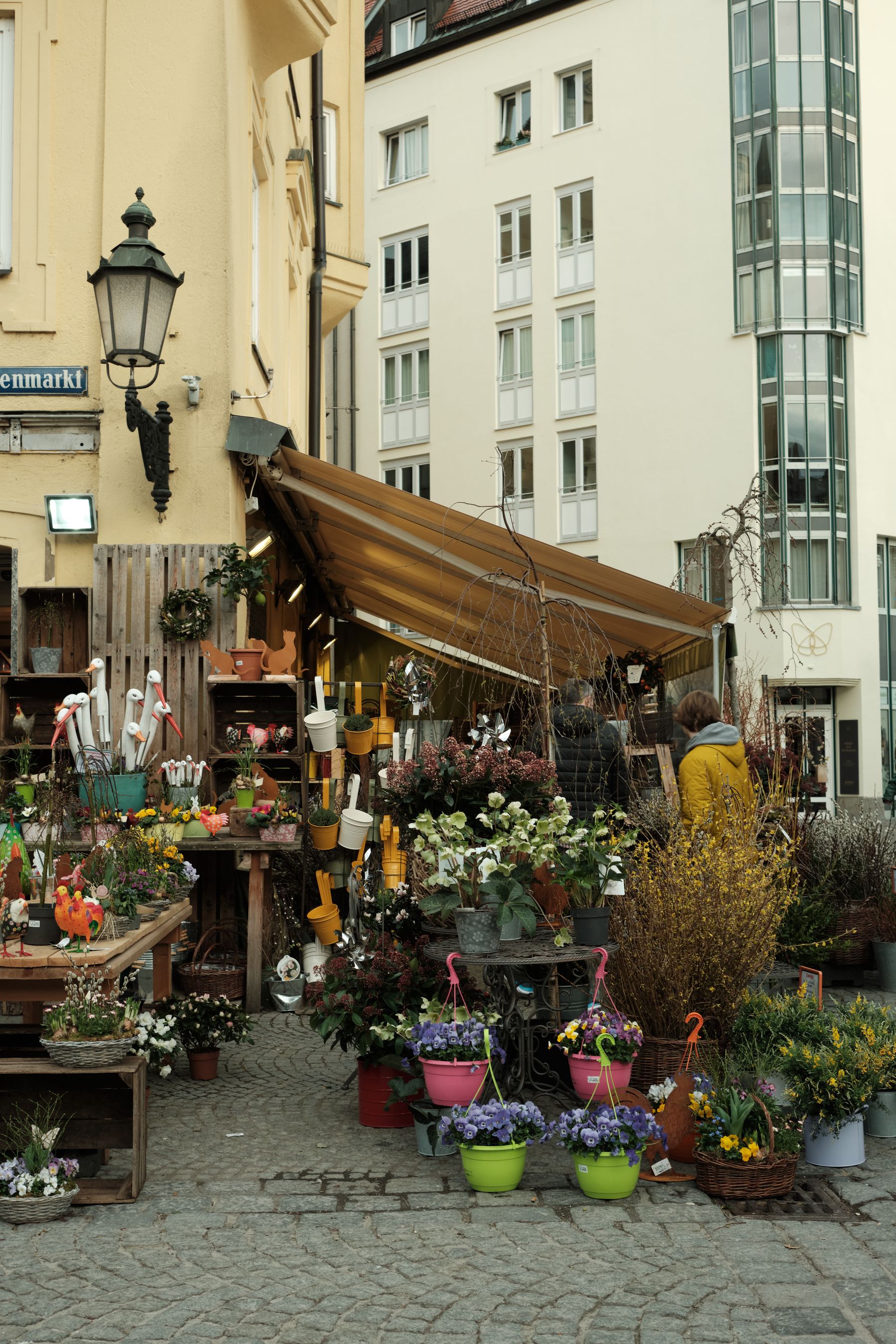Flowers Shop Flowers Shop