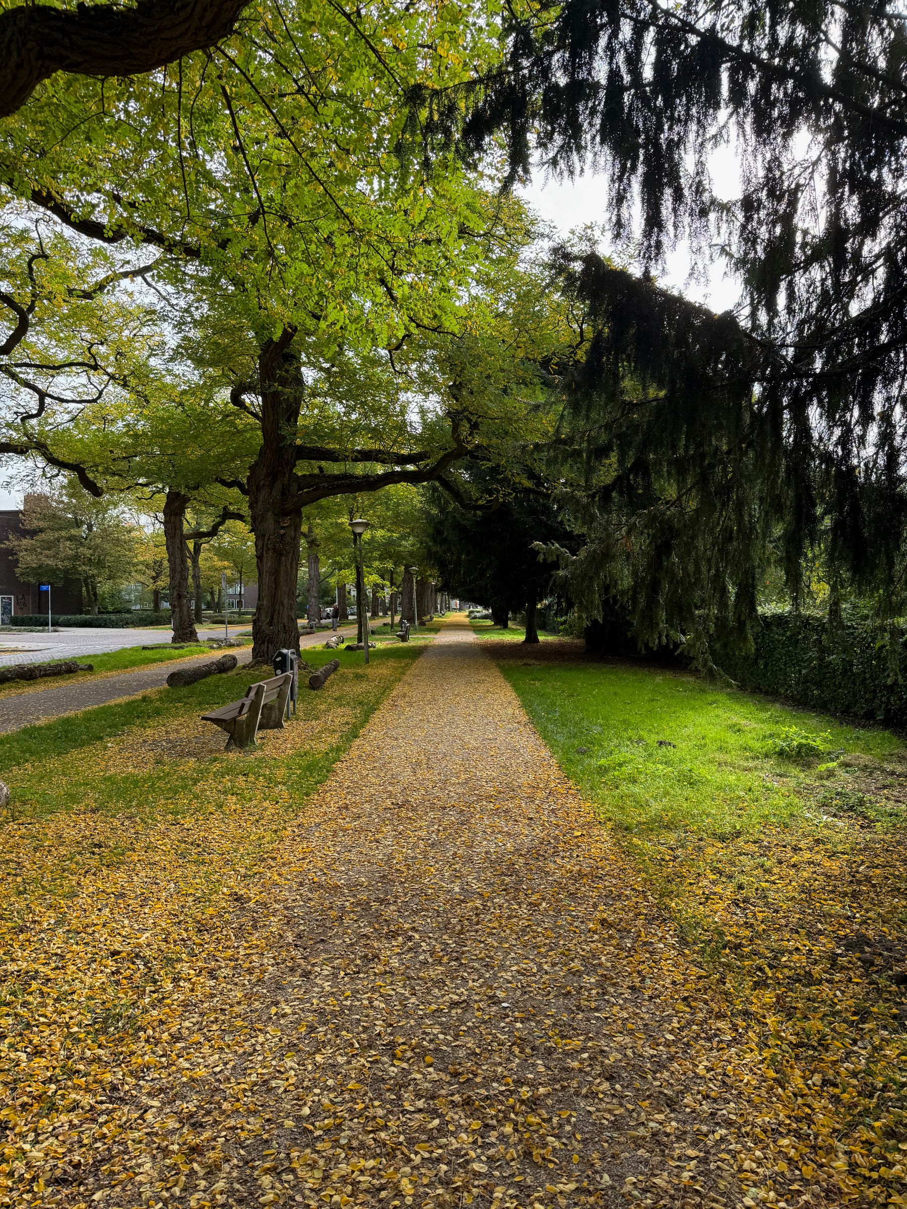 The Natural Reminder of Cycles: Seasons